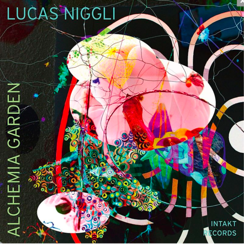 Alchemia Garden - Lucas Niggli solo